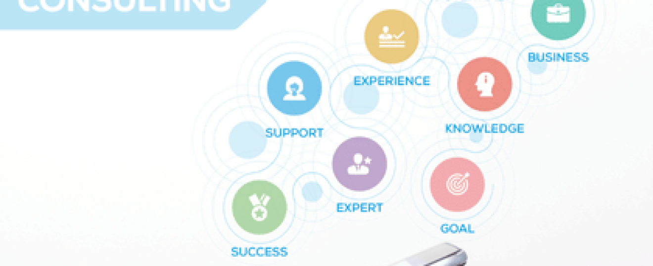 Market Entrance &amp; Partnership Development Consulting